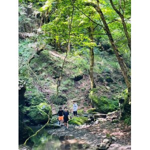 第20回 夏季強化合宿