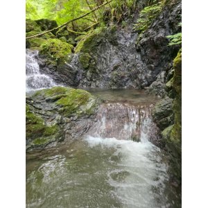 第21回 中國武術・虎武門 桜尚楽 獅陽楽合同 夏季強化合宿