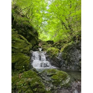 第21回 中國武術・虎武門 桜尚楽 獅陽楽合同 夏季強化合宿