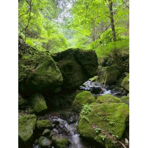 第21回 中國武術・虎武門 桜尚楽 獅陽楽合同 夏季強化合宿