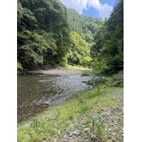 第22回 中國武術・虎武門 藤英楽 夏季強化合宿