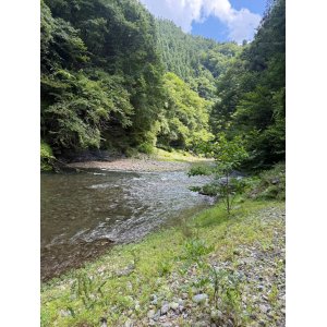 第22回 中國武術・虎武門 藤英楽 夏季強化合宿