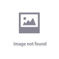 第21回 中國武術・虎武門 桜尚楽 獅陽楽合同 夏季強化合宿